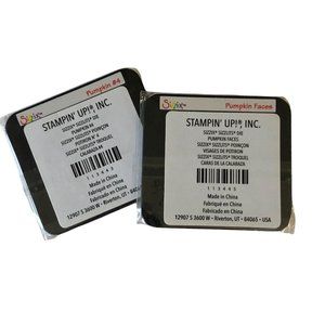 Stampin Up Pumpkin #4 & Pumpkin Faces Sizzix Sizzlits Die Big Shot Nwt